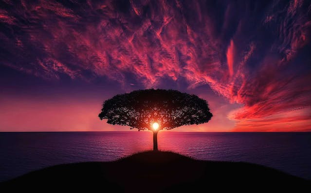 Art and Healing: My Journey to Finding Therapy in Creativity